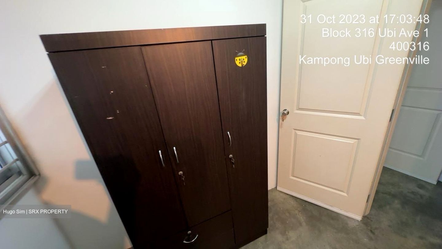 Blk 316 Ubi Avenue 1 (Geylang), HDB 4 Rooms #619288691